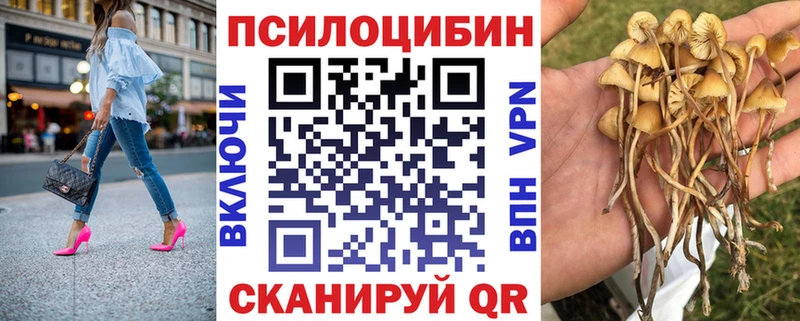купить наркотики цена  Черемхово  Галлюциногенные грибы Psilocybine cubensis 