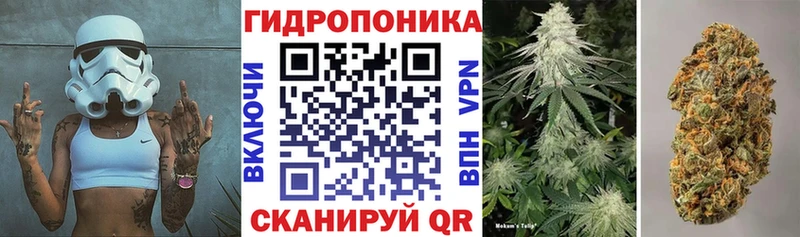 где можно купить наркотик  Черемхово  Канабис сатива 